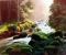 Paisagem 3.jpg